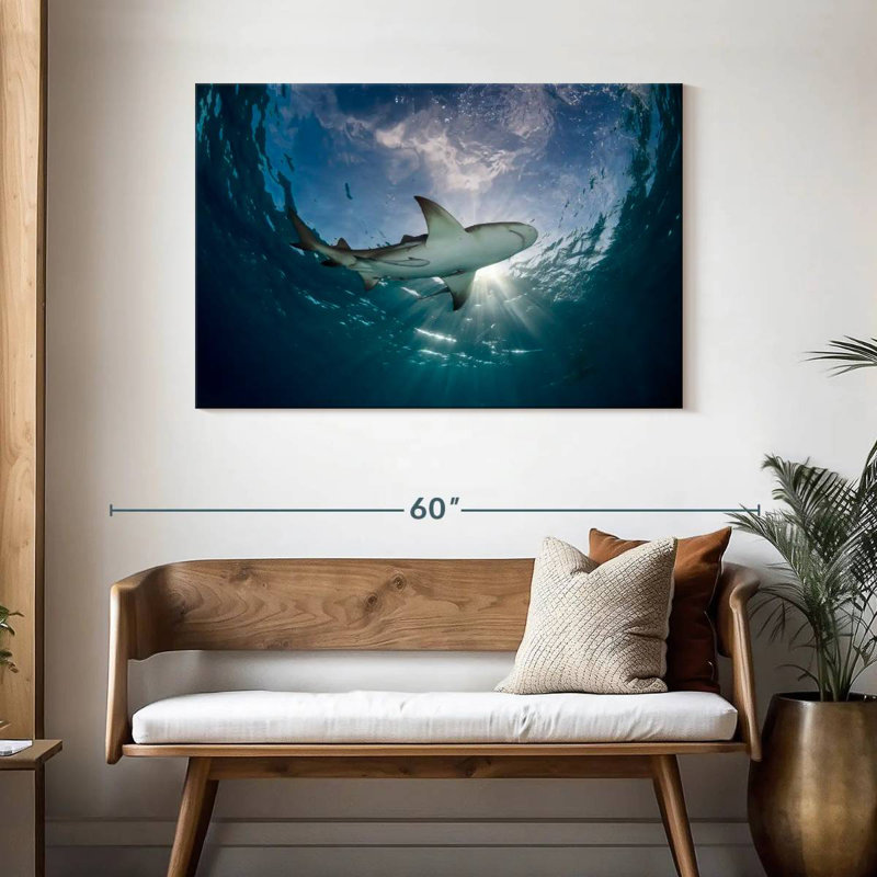 Requin citron dans l'eau, H 30 po x l 45 po