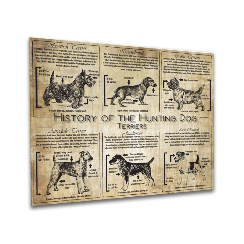 Histoire du terrier - collage de race, Métal métal, H 20 po x l 24 po x P 0,5 po