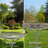 Eulalio Pedestal Birdbath