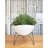 Clent Pot Planter-509738430-453852780