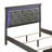 Jaquayvion Twin 3PC Gray-2031470327-2031470322-2031470320