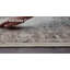 Chakra Oriental Area Rug-2002666470