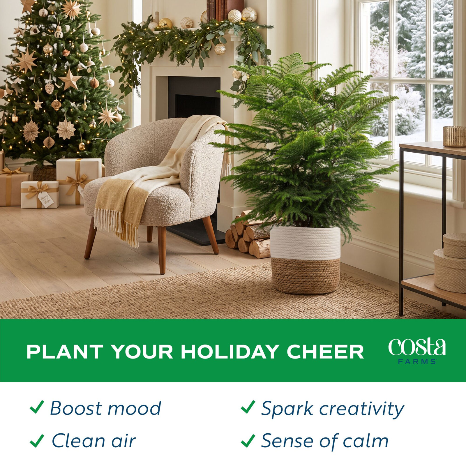 2.3' Pine Christmas Tree