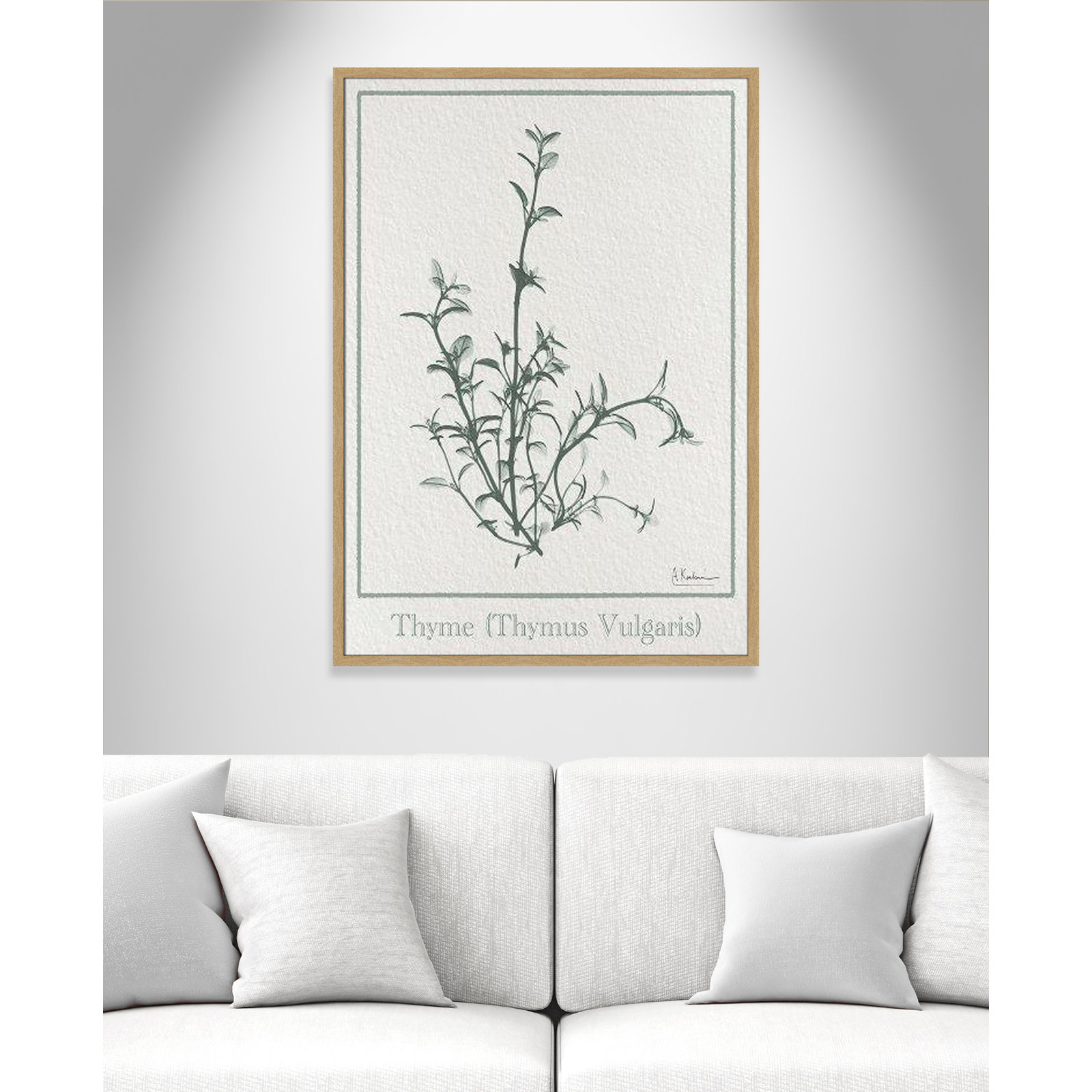 Jeanette "Thymus Vulgaris" Print, 41.5" H x 29.5" W x 1.25" D, Brown Framed Paper