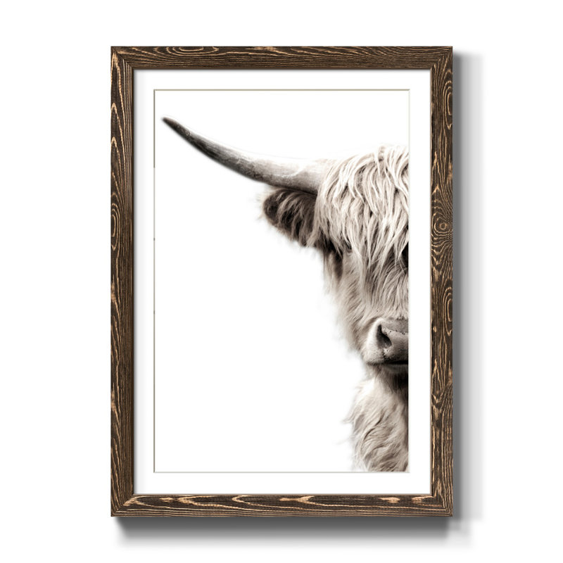 Bétail des Highlands - reproduction de photo, H 44 po x l 31 po x P 1 po, Papier, cadre noyer, Blanc