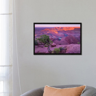 Colorado River Flowing Through Canyons Of Dead Horse Point State Park, Utah by Tim Fitzharris - Gallery-Wrapped Canvas Giclée on Canvas
