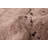 Tangier Brown Rug 8'1" x 10'1"