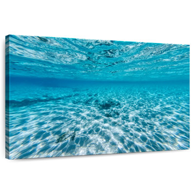 Aletra Cabarita Underwater Scene