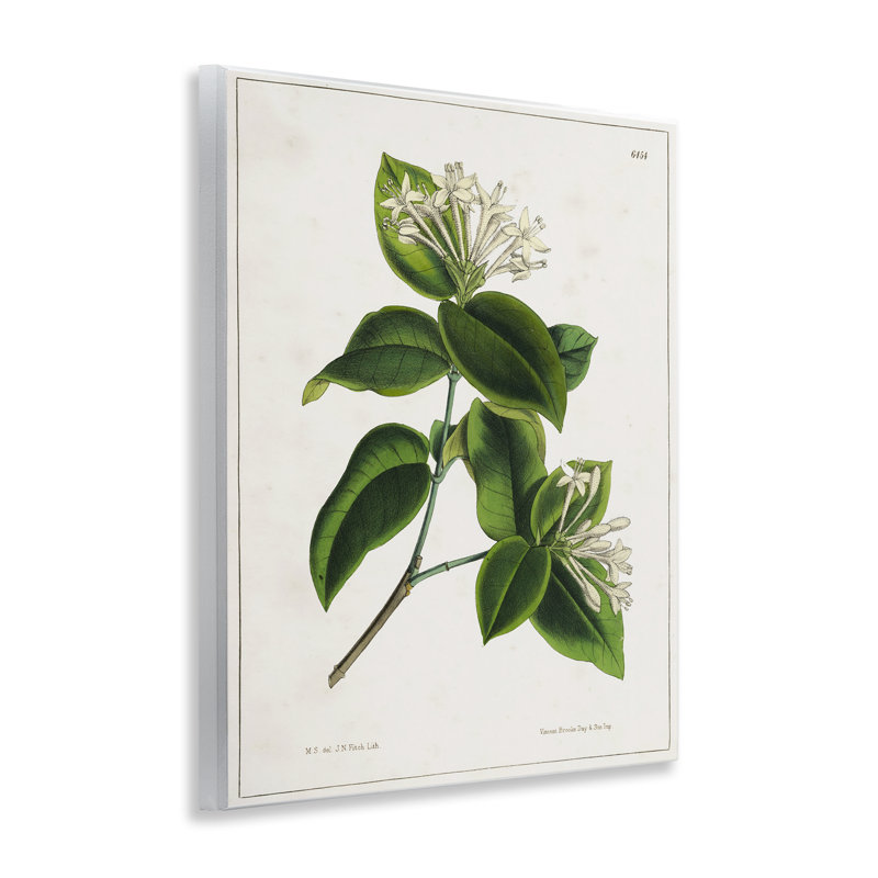 «Blooming Vintage Study» par Tina Higgins Designs, Inc.