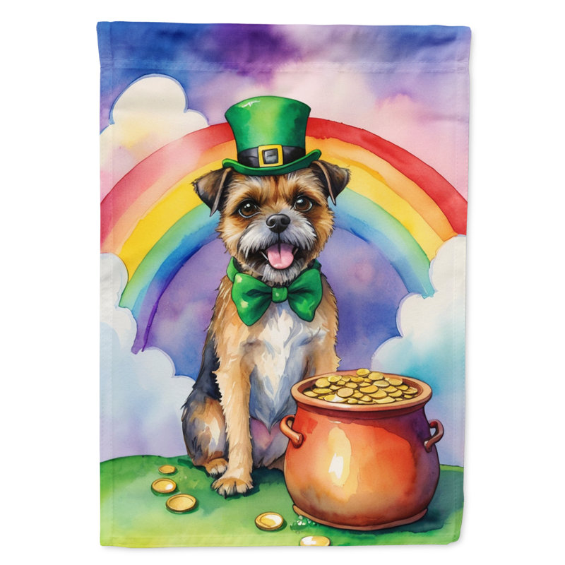 Drapeau double face en polyester H 40 po x l 28 po St Patrick's Day House