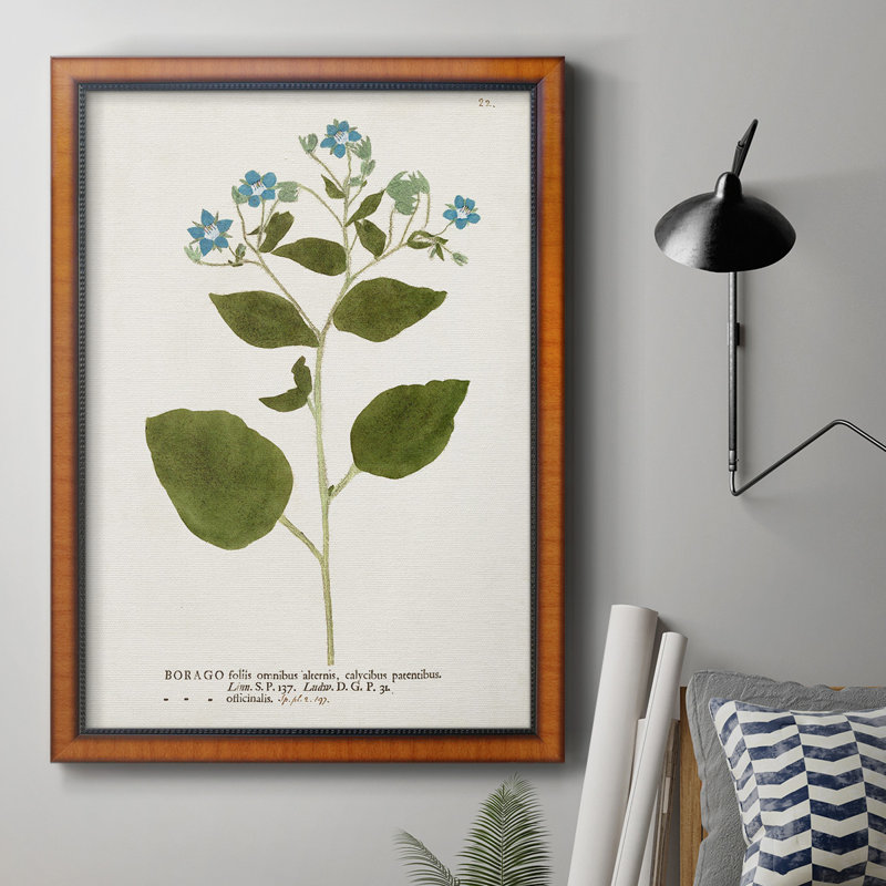 Nature imprimée Botanicals VI, toile encadrée de qualité supérieure - prête à être accrochée, H 20 po x l 16 po x P 2,5 po