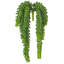 Plantes grasses artificielles en plastique