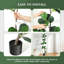 Plant-1399639118