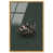 Gold Floater Frame