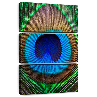 Kerner Detailed Peacock Feather