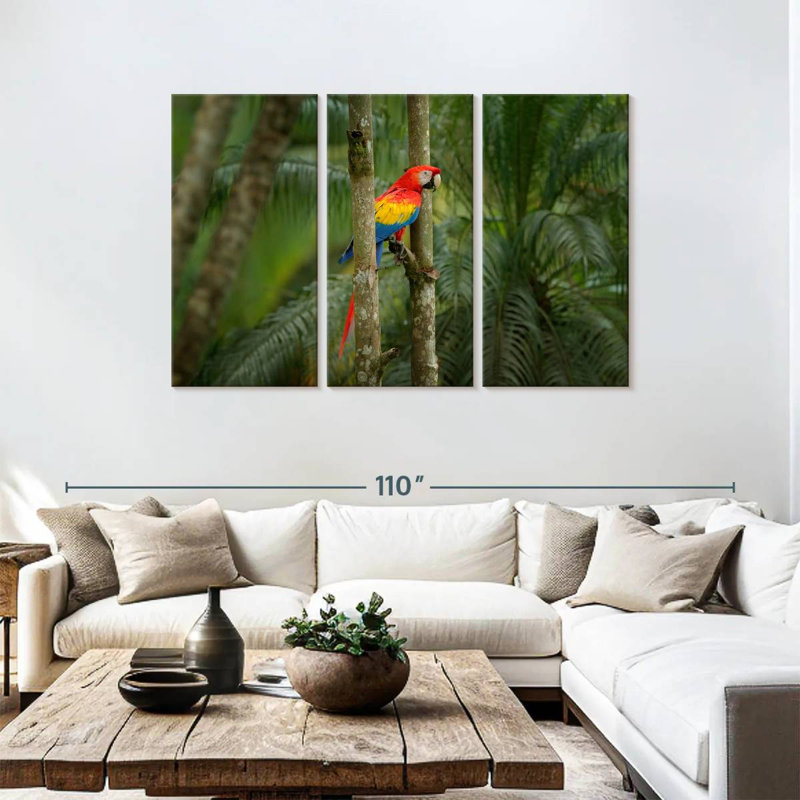 Brampt Wild Scarlet Macaw, 48" H x 74" W