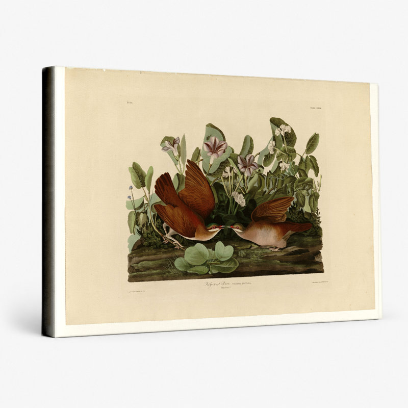 Key West Dove (plaque CLXVII) - art mural sur toile paysage, 20" W x 16" H
