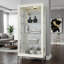 Sheena Lighted Curio Cabinet-73916025