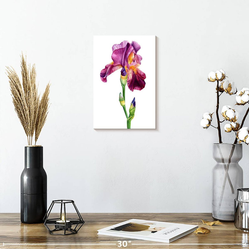 Harnek, belle fleur d'iris, H 12 po x l 8 po