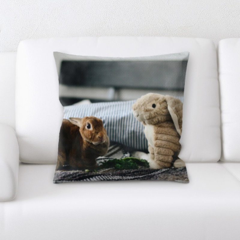 Microsuede Reversible Throw Pillow