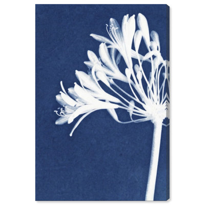 Cyan Bloom Print by Oliver Gal
