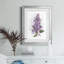 Awash in Lilac I par J Paul - reproduction d'art encadrée-1737439305-1737439311