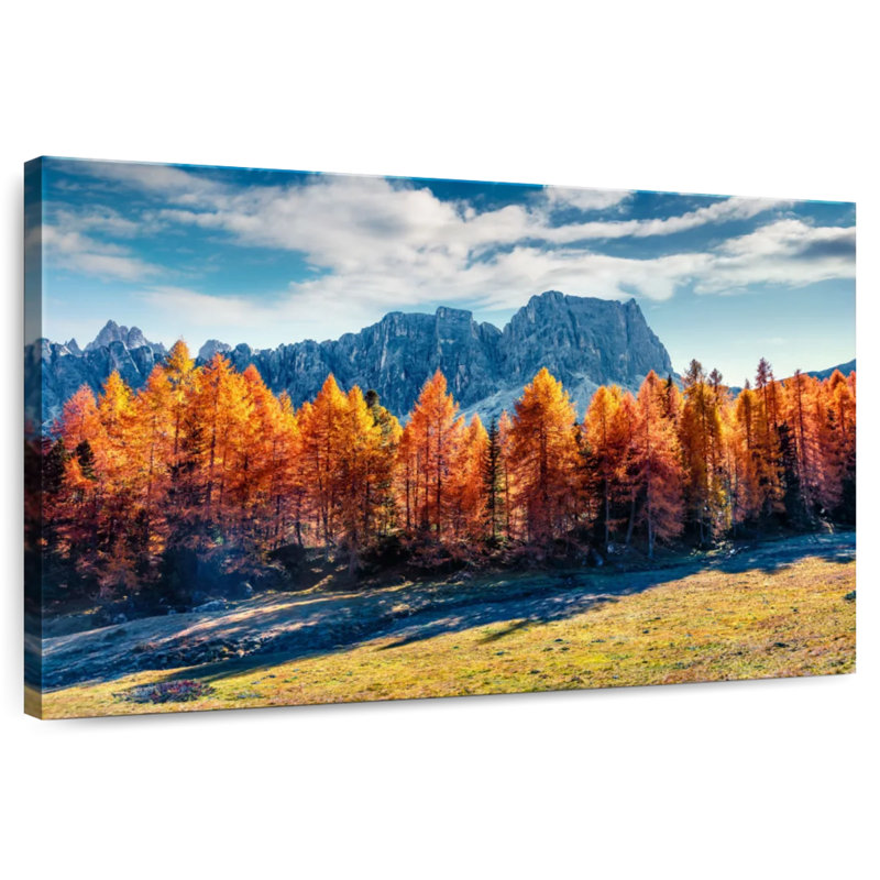 Mélèze d'automne Alvord, H 32 po x l 48 po