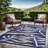 Aldo Performance Floral Rug-660886527