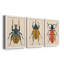 Beetle Bug I - ensemble de 3 peintures sur toile encadrées-1777886078-1777886077