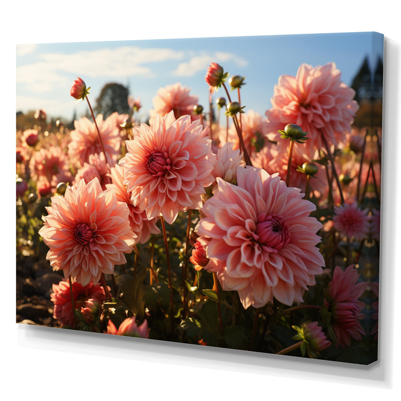 Dahlia Field Sunrise III - Floral Canvas Wall Art, H 24 po x l 32 po x P 1 po, Toile tendue