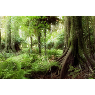 Jungle - Wrapped Canvas Print