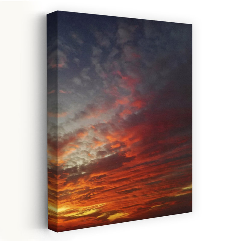 Contemporary Art Bold Dramatic Organic Landscape Nature Wall Art by Angelo Cerantola - Wrapped Canvas Print