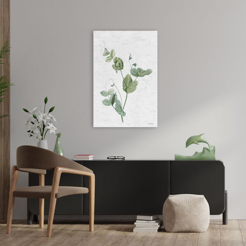 Botanical Trio II - Illustration rétro de plante botanique de pois, feuilles vertes, H 24 po x l 36 po