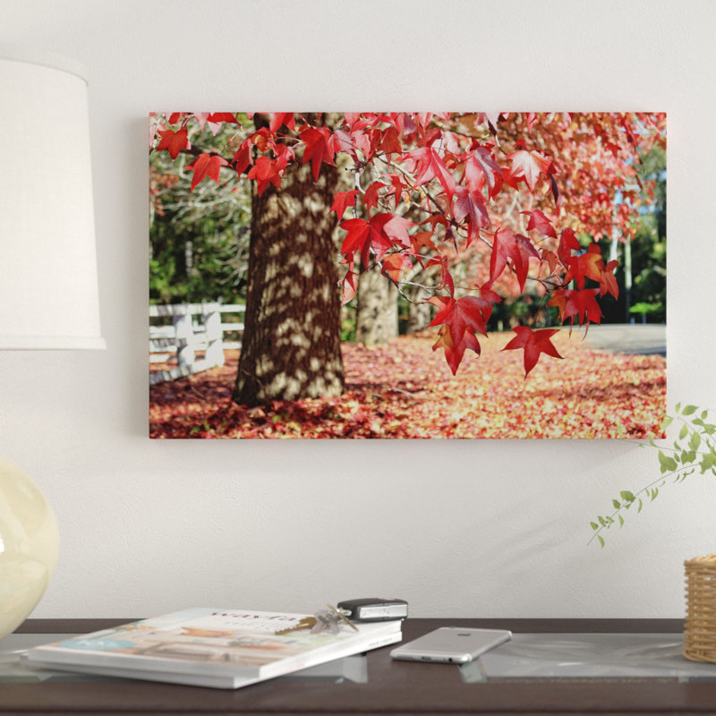 « red automne leaves », reproduction de photo sur toile tendue, H 30 po x l 47 po x P 2 po