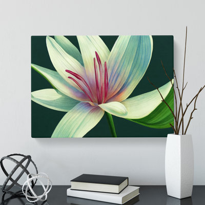 Dashing Lily Flower - Wrapped Canvas