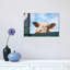 «Peeking Cow» par Clara Bastian - reproduction de photo sur toile tendue-55903660