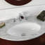Flou Widespread Bathroom Faucet with Drain Assembly-48482012