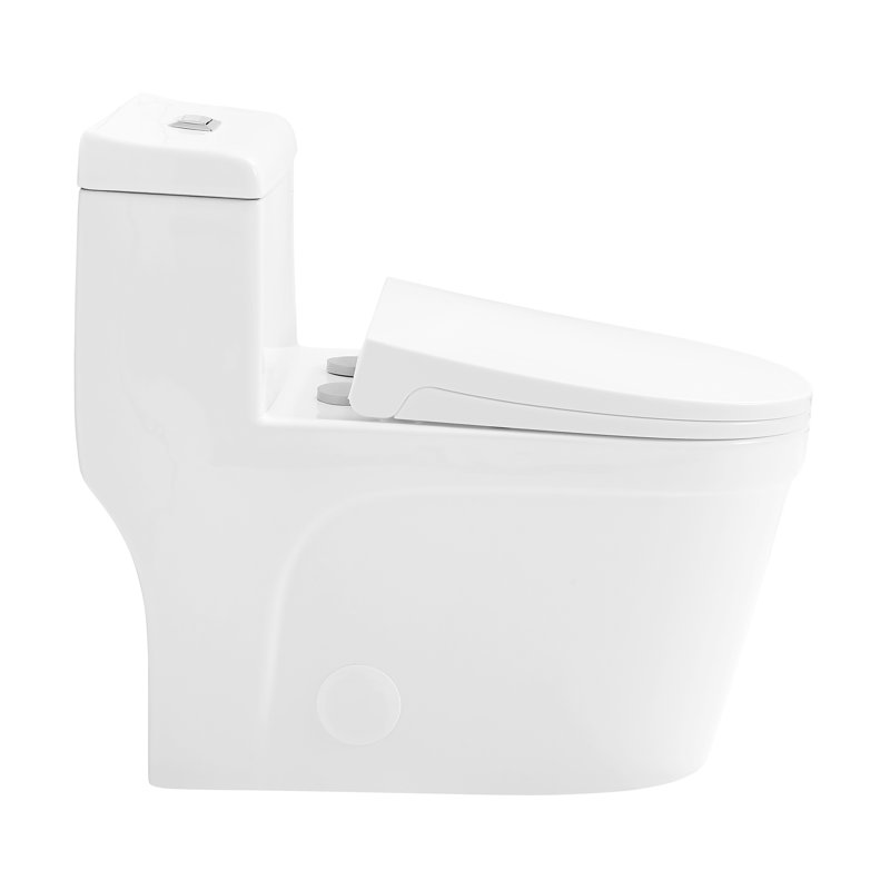 Toilette allongée une pièce Cannes 1,6 GPF