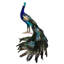 Elegant Peacock, 14 X 4 Inches