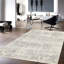 Tapis argenté en coton / laine / soie 4 pi x 6 pi 2 po
