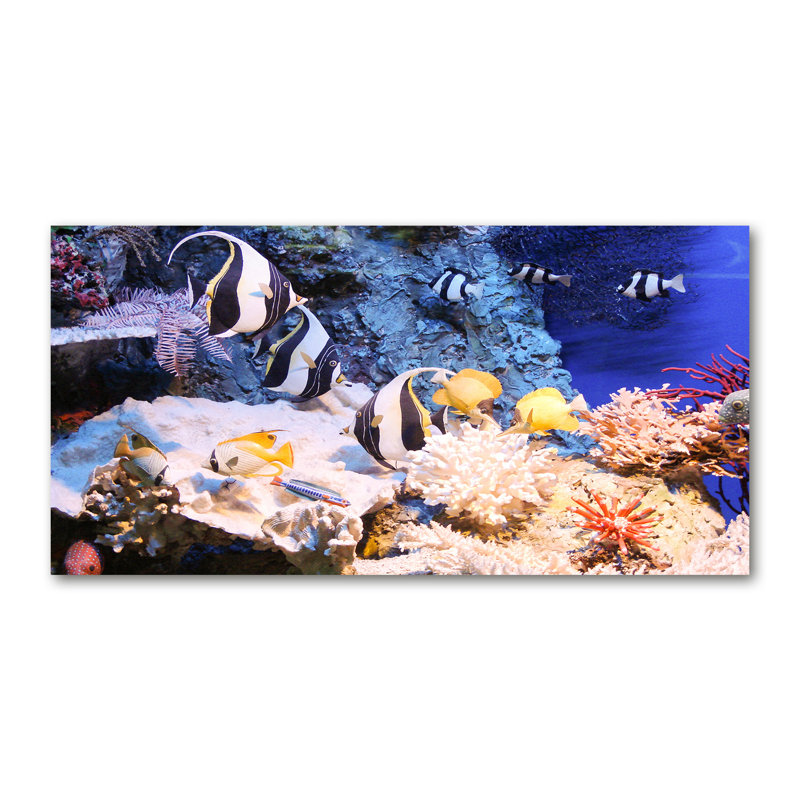Canvas Print - Wall Art - Prints On Canvas - 140X70 Image Picture Theme: Coral Reef