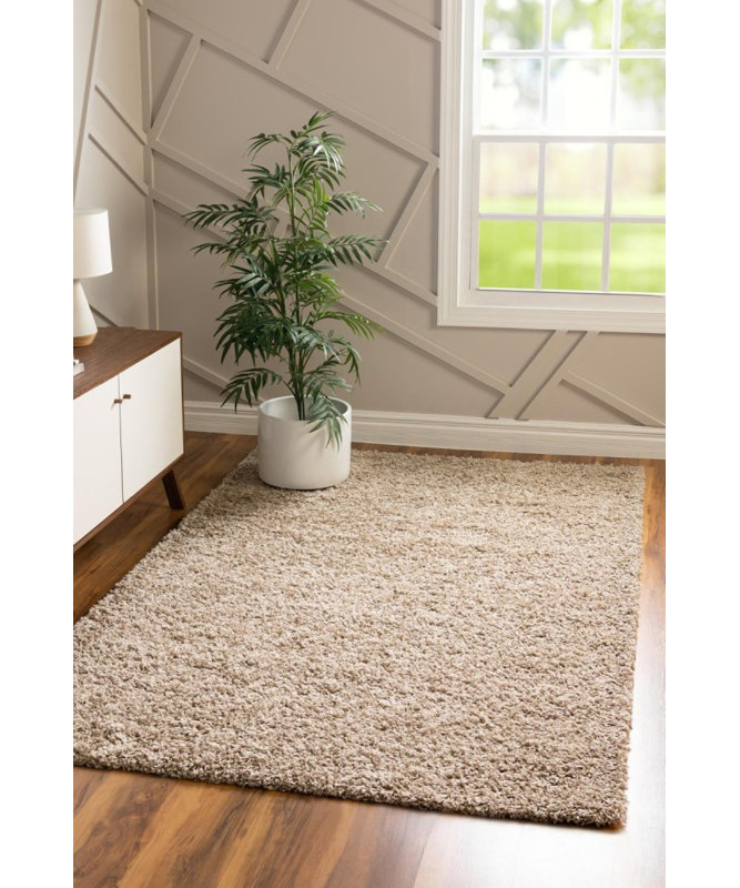 Dekai Shag Area Rug, Rectangle 61 x 91cm