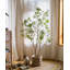 Enkianthus japonais Gant-88364648