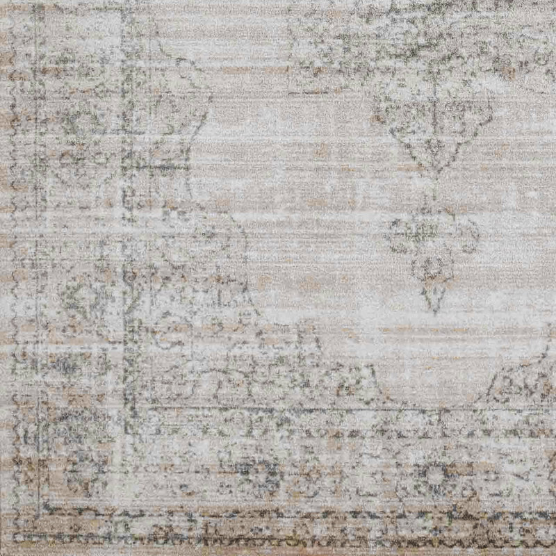 Benson Oriental Indoor Rug, Rectangle 5'3" x 7'3"