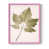 Rose est en rupture de stock