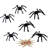 Halloween Spider-1599573986