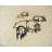 Pigs-480984293