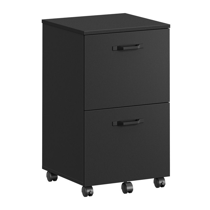 Franny 2 Drawer Filing Cabinet, Black