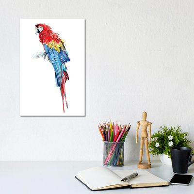 Macaw - Wrapped Canvas Painting