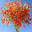 Arrangement floral Baby's Breath-1070477547-1070477538